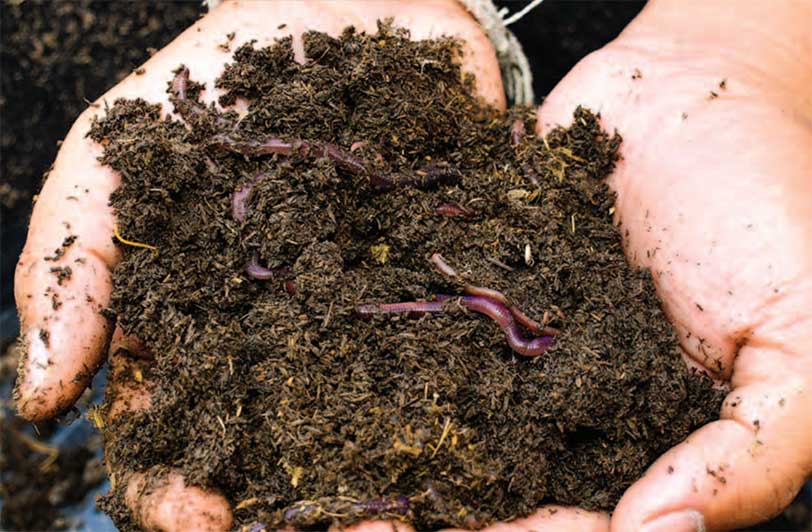 soil-organic-matter-digging-into-canadian-soils