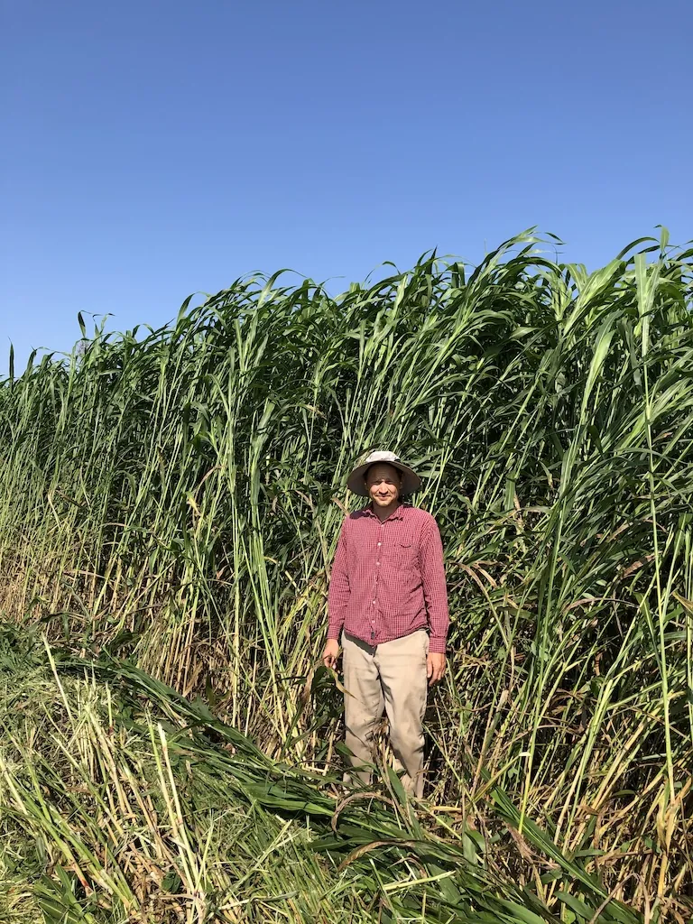 Three Springs Farm – Mike Farmer Mike Appel stand in a field of tall corn.