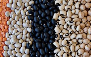 photo of an array of dried lentils and beans