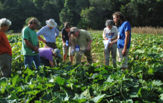 Photo of Common Wealth Seed Growers in the field