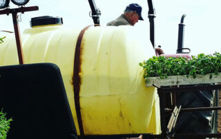 Photo of Elmwood Stock Farm farmer getting transplants out