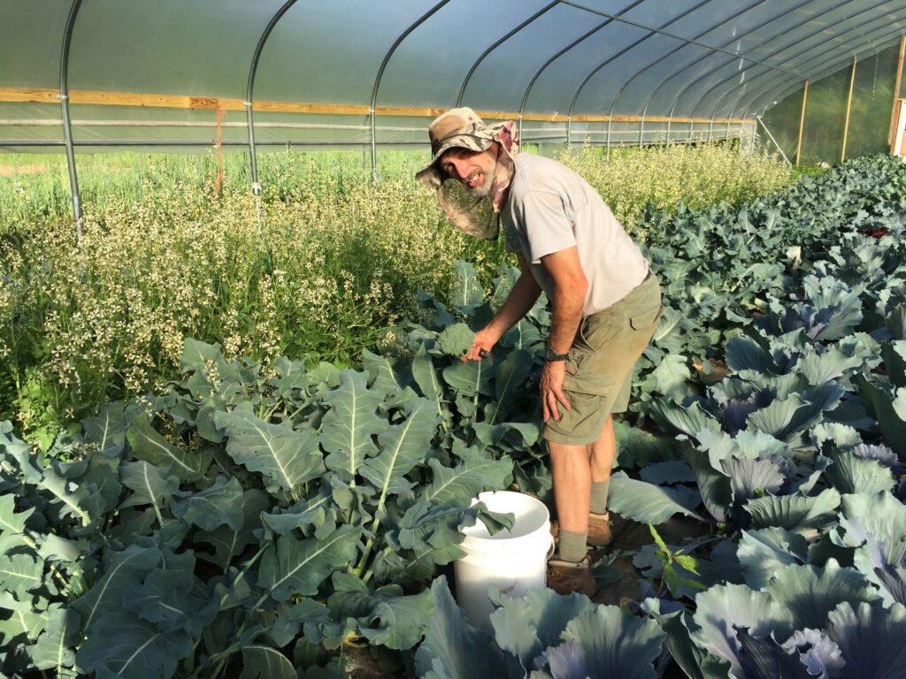 Bryan working in the greenhouse