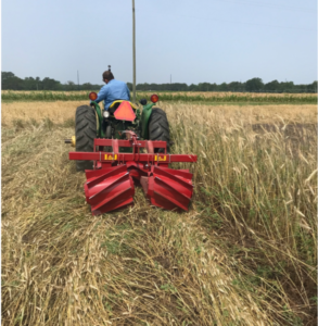 Roller crimper termination of cover crops