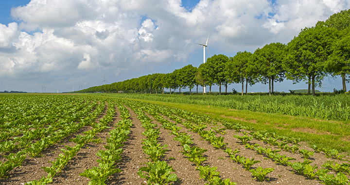 Farm field with wind turbines in the distance