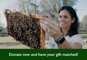 Mary Phipps with beehive - Donate Now