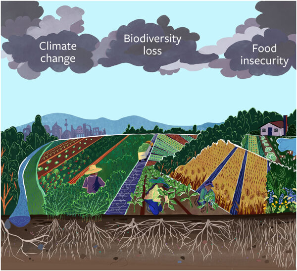 Petani di Garis Depan: Perubahan Iklim dan RUU Pertanian