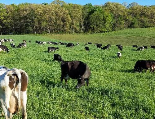 New Crop-Livestock Integration Resources