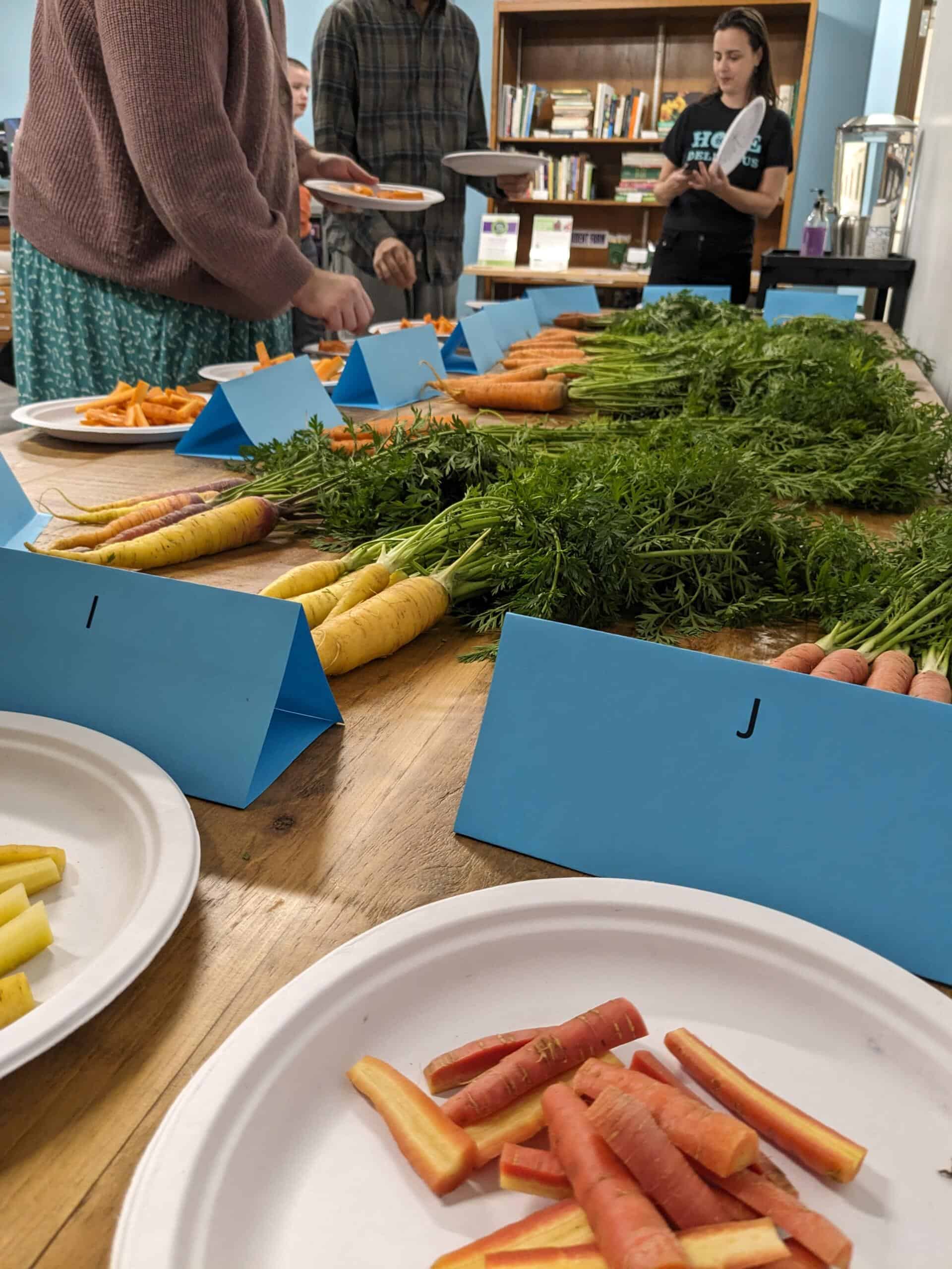 PXL_20231101_235314890