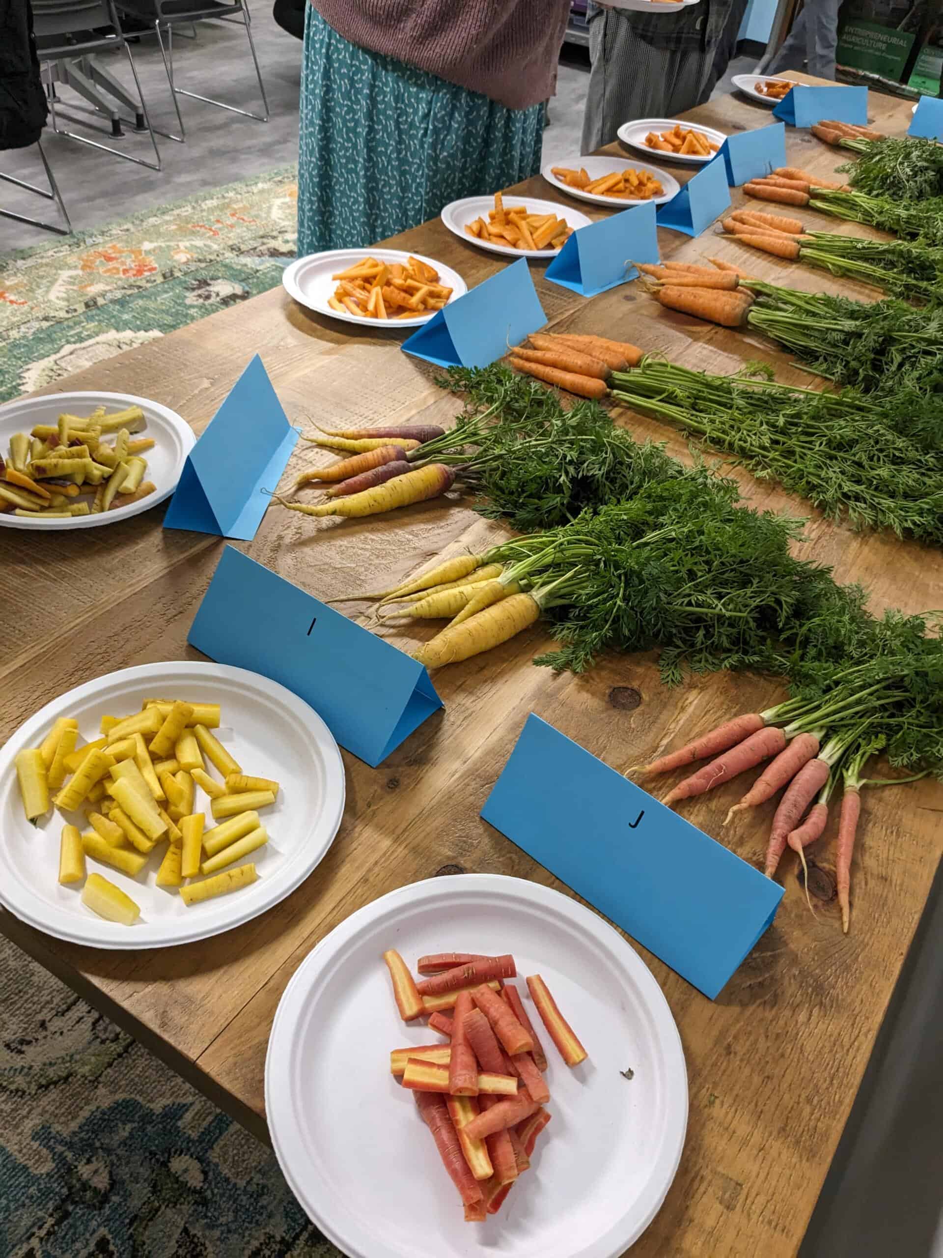 PXL_20231101_235318211