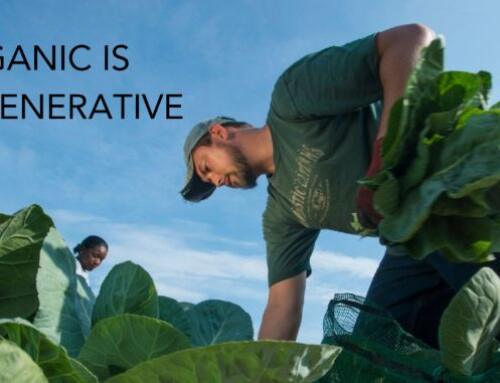 New Toolkit Highlights How Organic Practices Lead the Way in Regenerative Agriculture