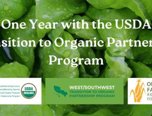 Growing Together, one year with the USDA Transition to Organic Partnership Program