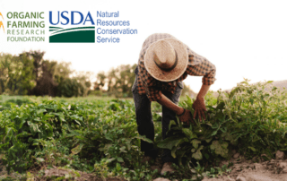 farmer bent over in a field working with OFRF and USDA NRCS logos on the top left corner