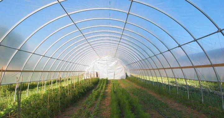 organic farming research articles