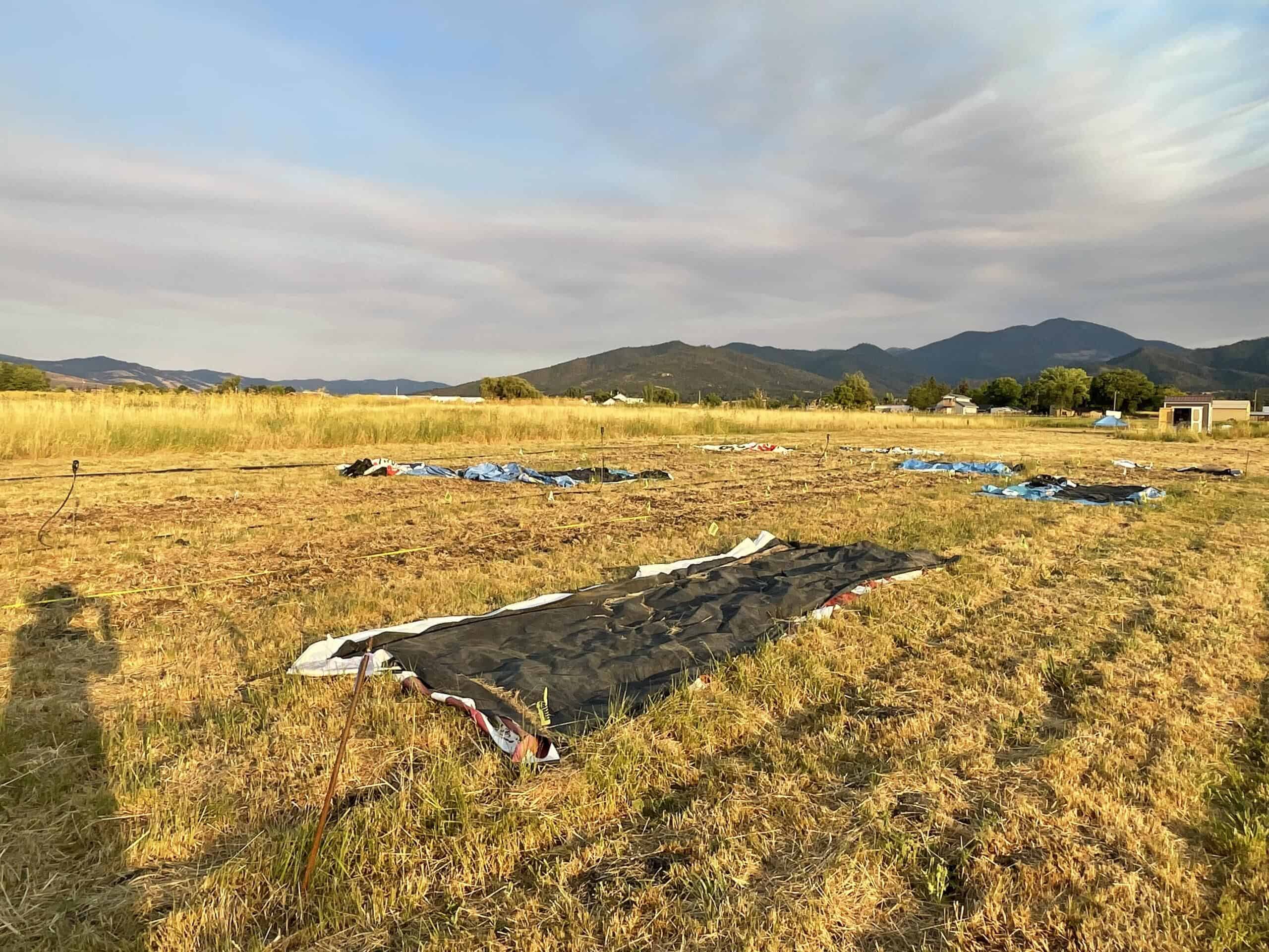 Verdant Phx Farm_ Occultation side by side