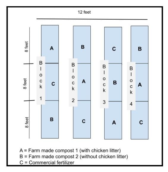 A Different Chick trial plot map