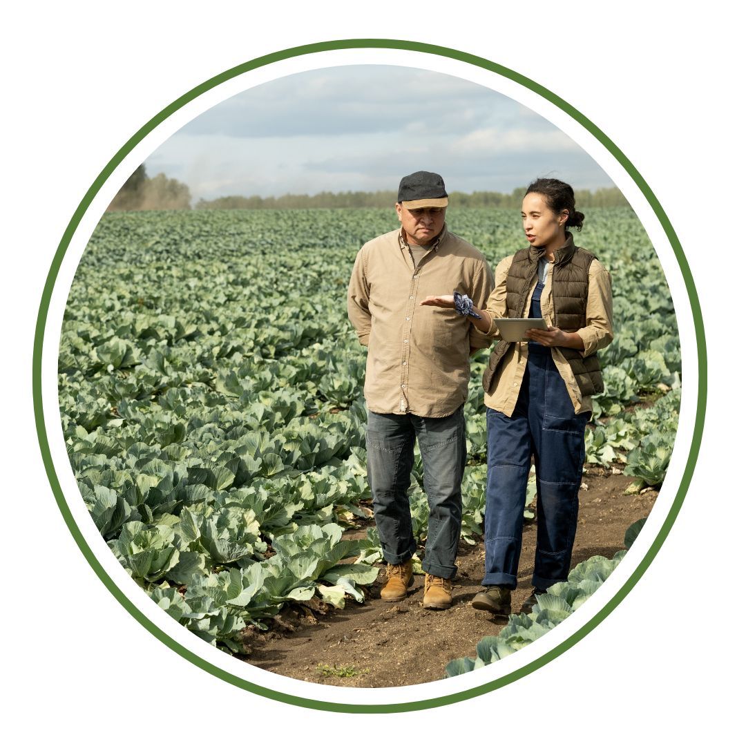 circular frame around image of two people walking together through rows of vegetables in a field, one with a clipboard, talking to each other.