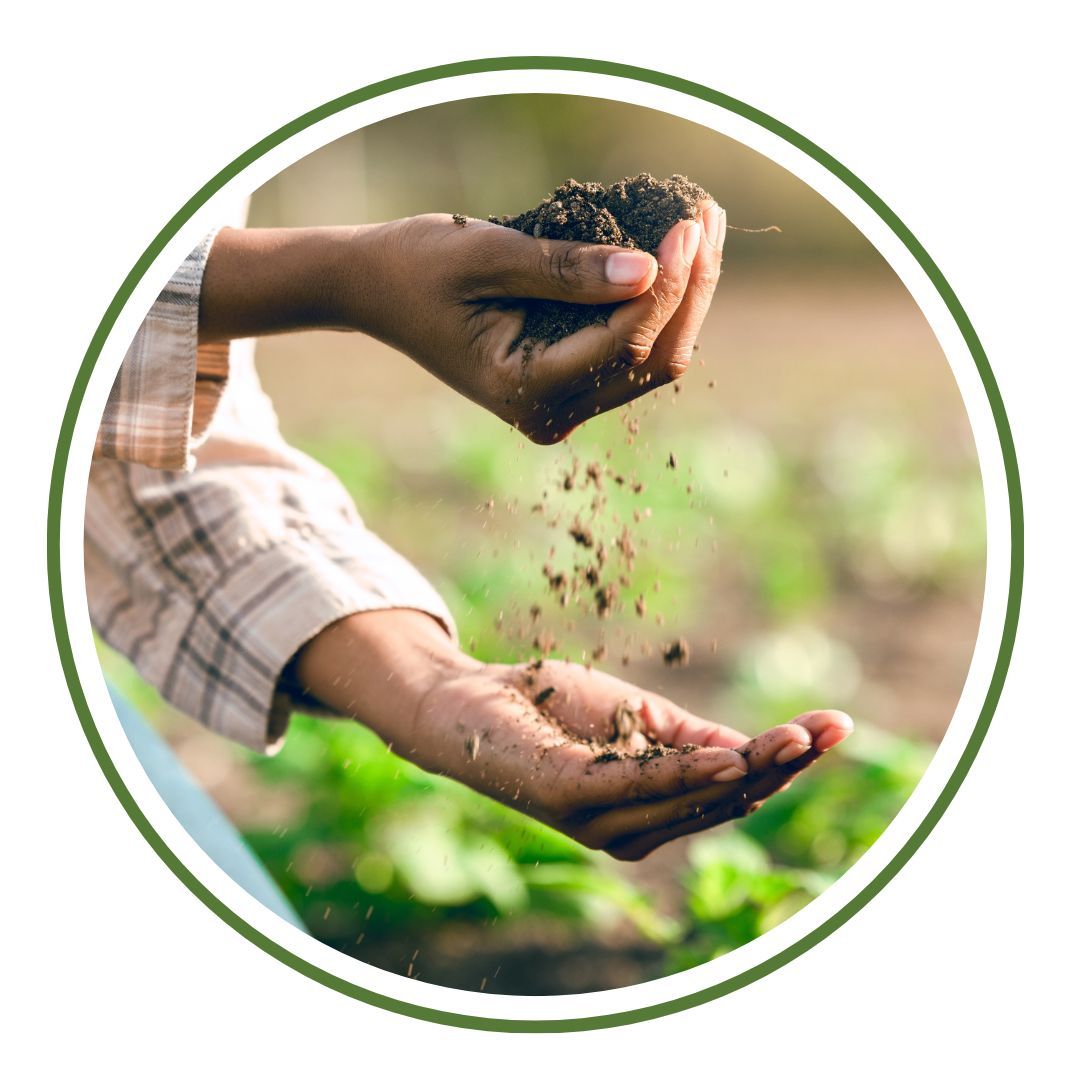 circular frame of two hands, one above the other, pouring soil between them in a farm field.