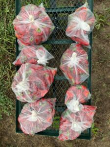 Trouvaille Farm – pepper bags