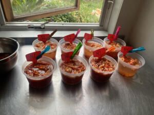 Trouvaille Farm – pepper seed seed saving from organic pepper research trial