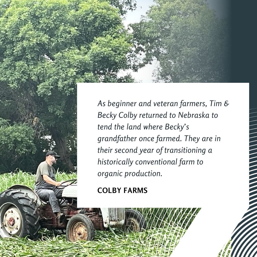 Picture of farmer Tim Colby driving a tractor through a field of cover crops, with quote about transitioning to organic production in foreground on white background.