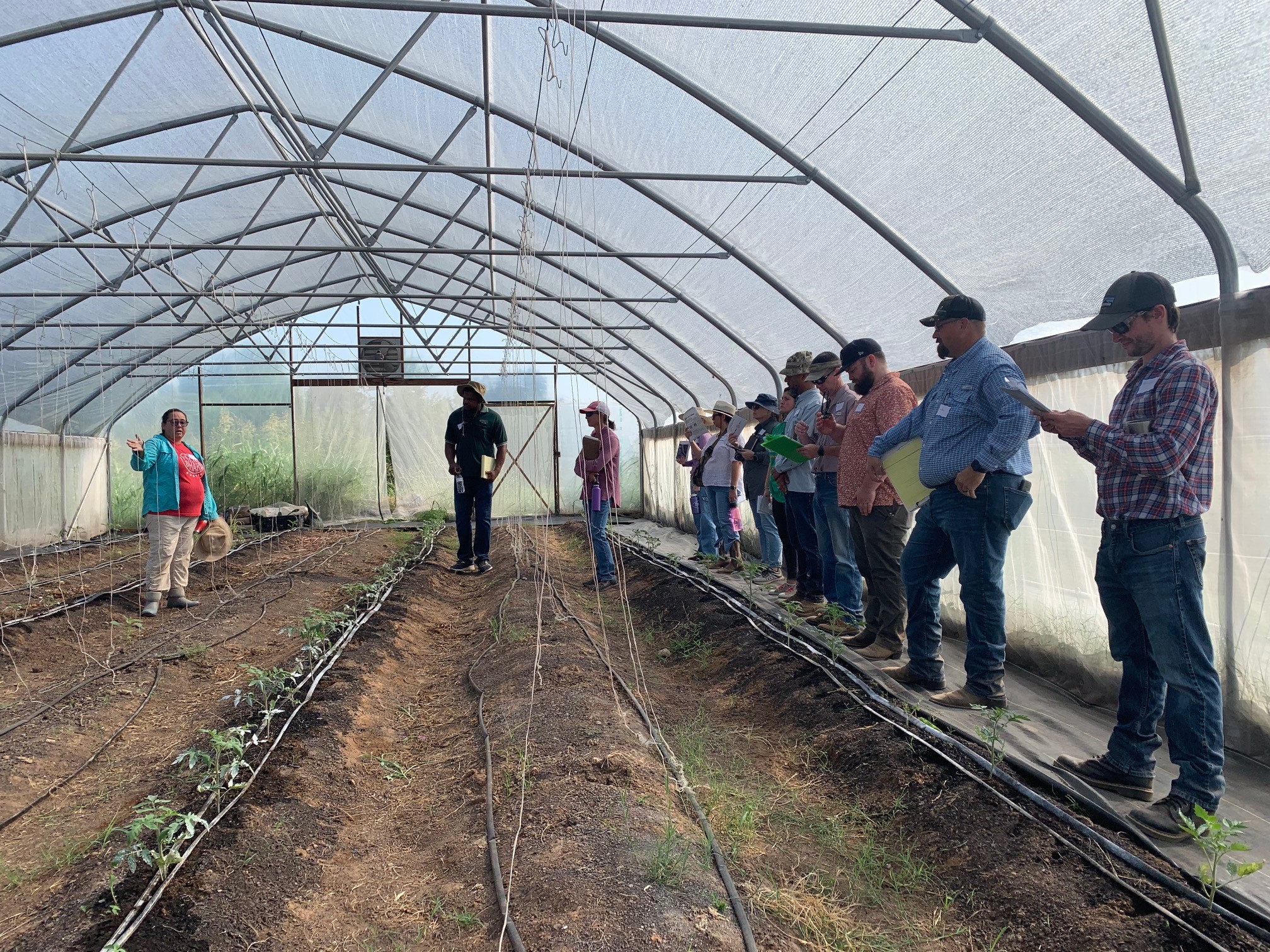 field day attendees in a high tunnel