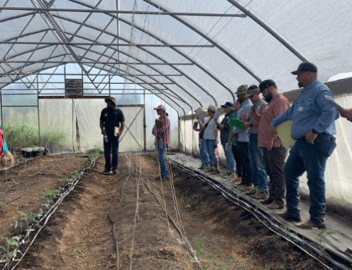 How Hosting NRCS Farm Tours Can Open Doors for Organic Farmers