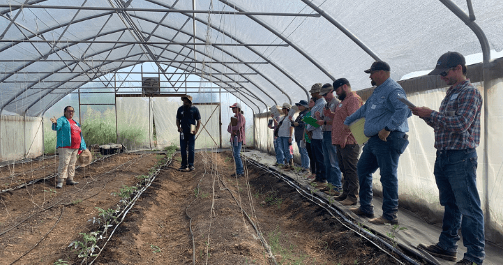 field day attendees in a high tunnel