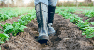 boots of farmer walking away on field