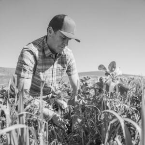 OSC John McKeon-b&w John McKeon, Taylor Farms