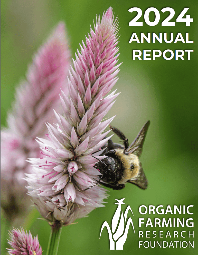 screenshot of front cover of OFRF's 2024 Annual Report featuring a bee on celosia plant