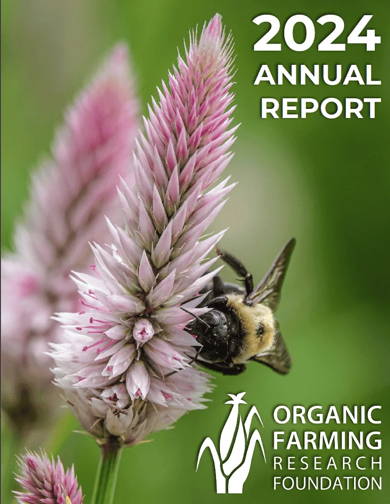 screenshot of front cover of OFRF's 2024 Annual Report featuring a bee on celosia plant