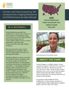 Ledoux Grange FLT Final Report Cover