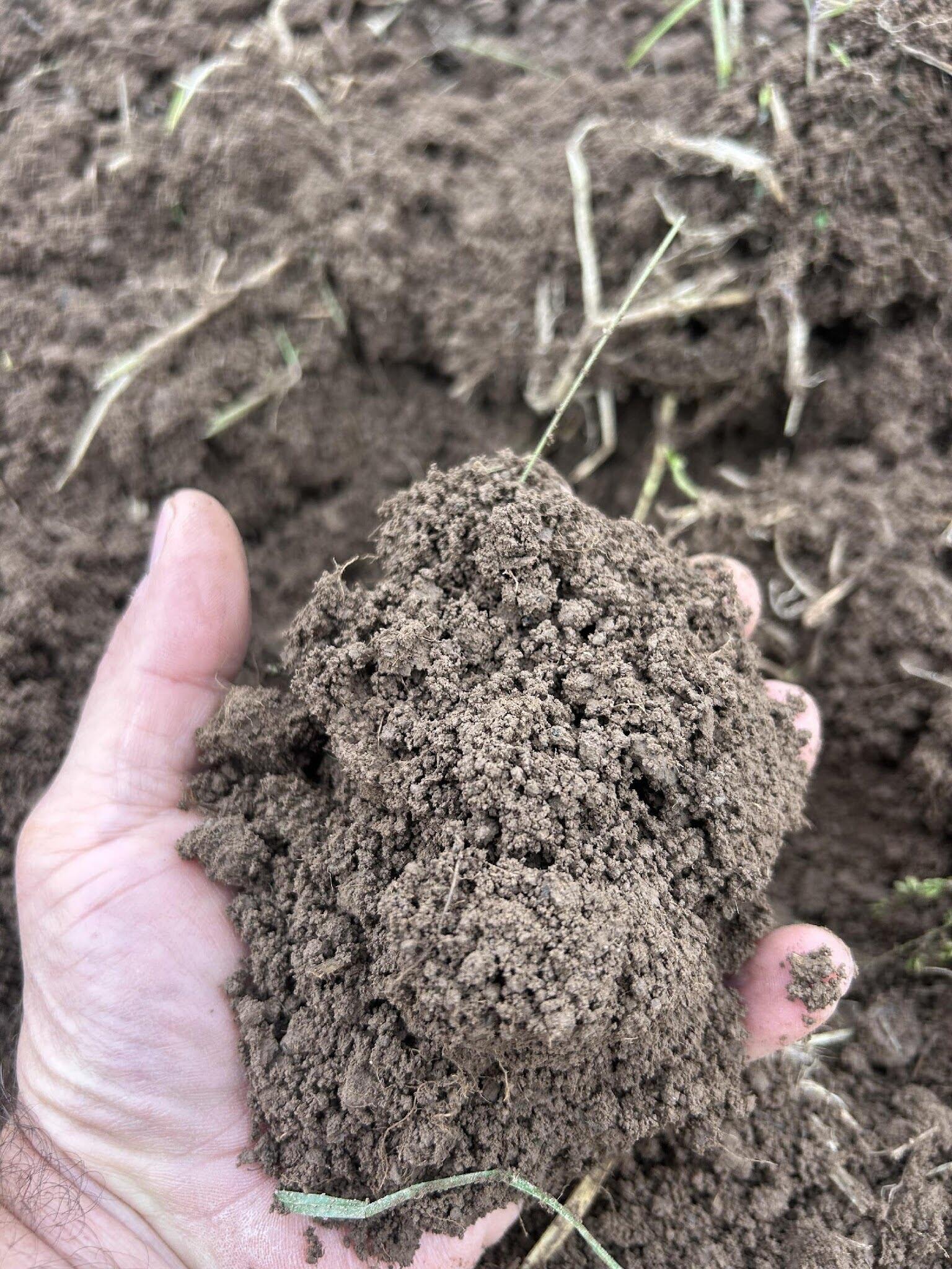 Soil up close The hand of a farmer holds a handful of soil.