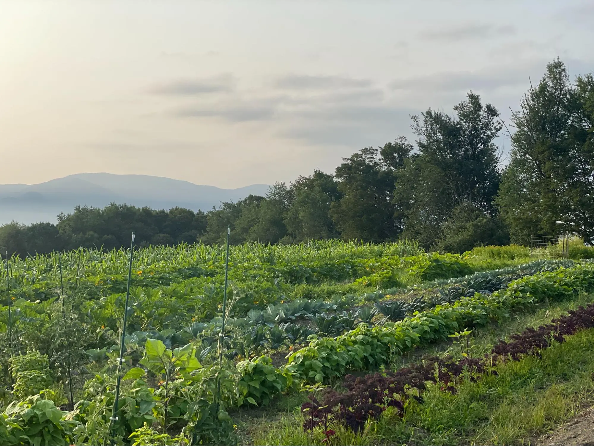 NSAC summer mtg – image1