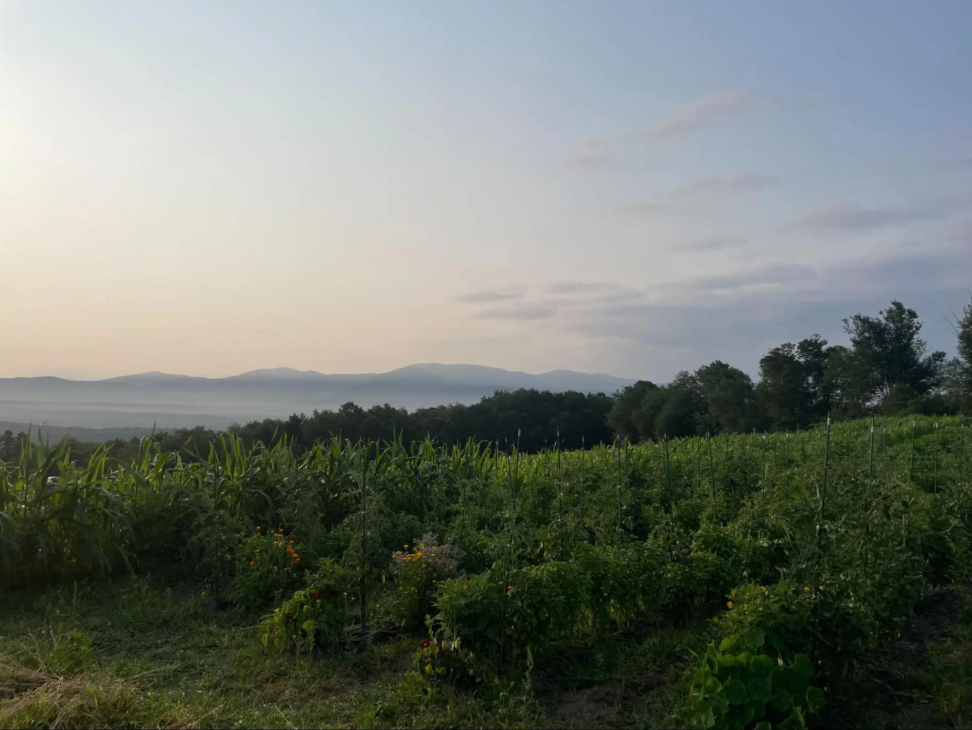 NSAC summer mtg – image5