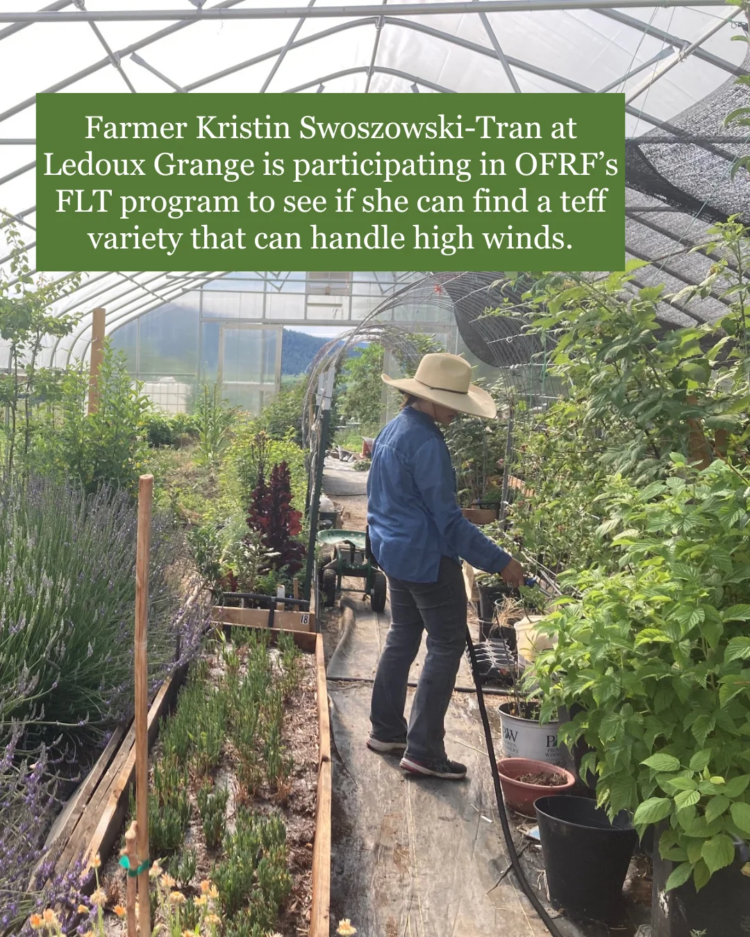 photo of FLT participant in greenhouse with caption