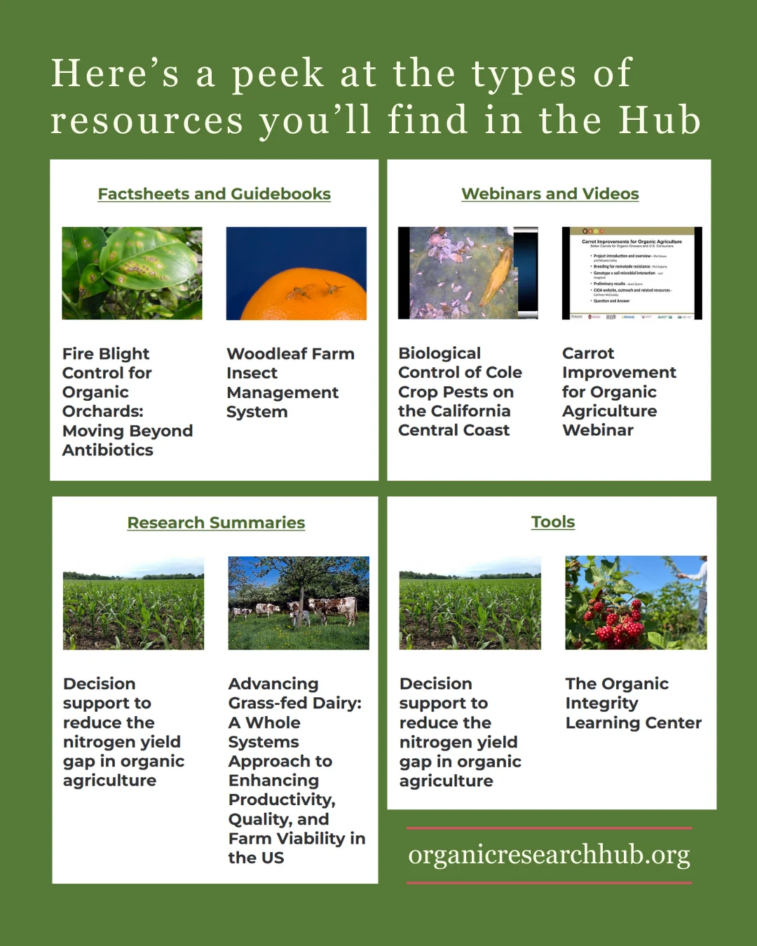 examples of the resources available in the Hub