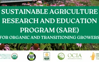 Sustainable Agriculture Research and Education program for organic and transitioning growers on background image of echinacea flowers.