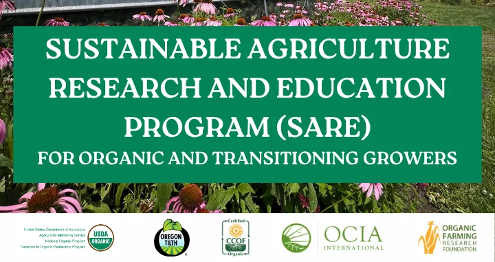 Sustainable Agriculture Research and Education program for organic and transitioning growers on background image of echinacea flowers.