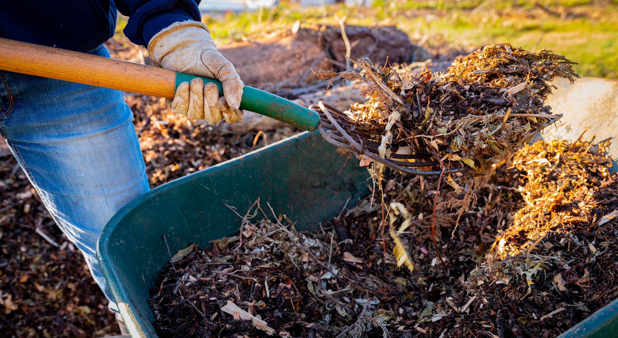 iStock-1286846441 (1) mulching