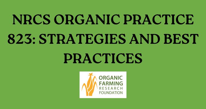 Boost Organics: NRCS 823 Strategies for Soil & Farm Health