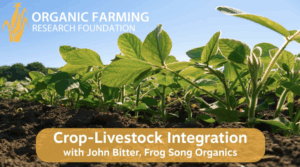 OFRF-Crop-Livestock-Integration-with-John-Bitter Plants sprouting with the Organic Farming Research Foundation Logo