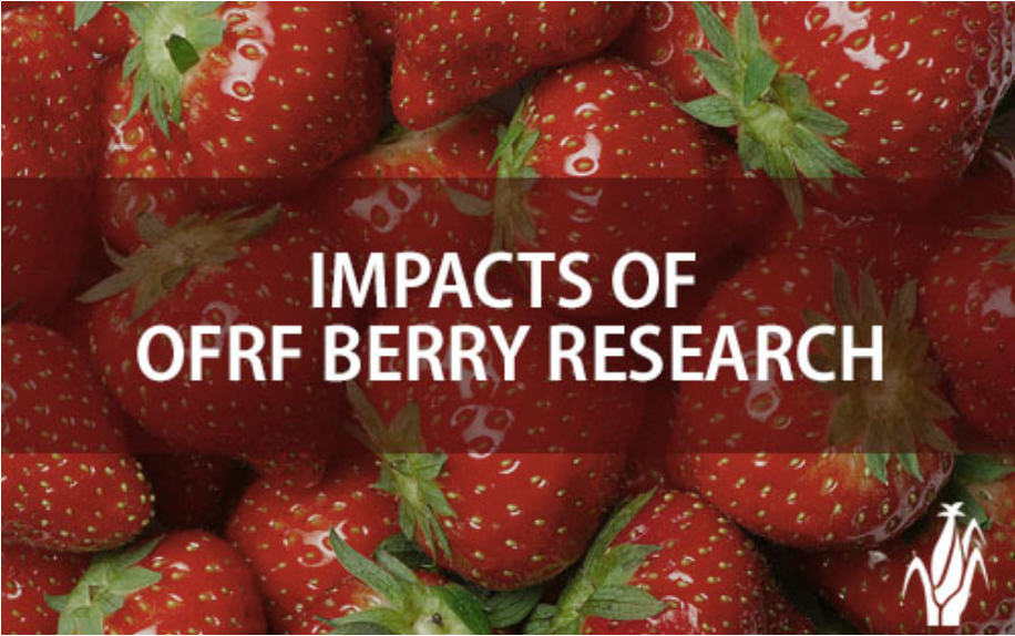 Screenshot 2025-12-10 152107