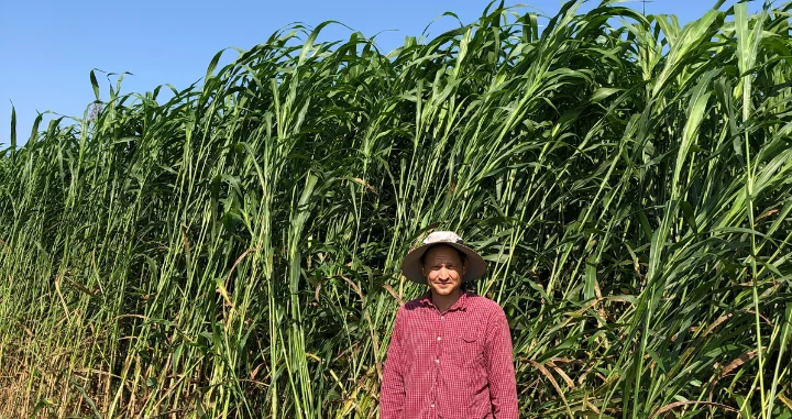 Farmer Mike Appel stands in a corn field.