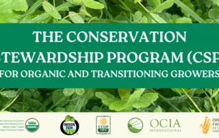 The Conservation Stewardship Program (CSP) with a background image of covercrop