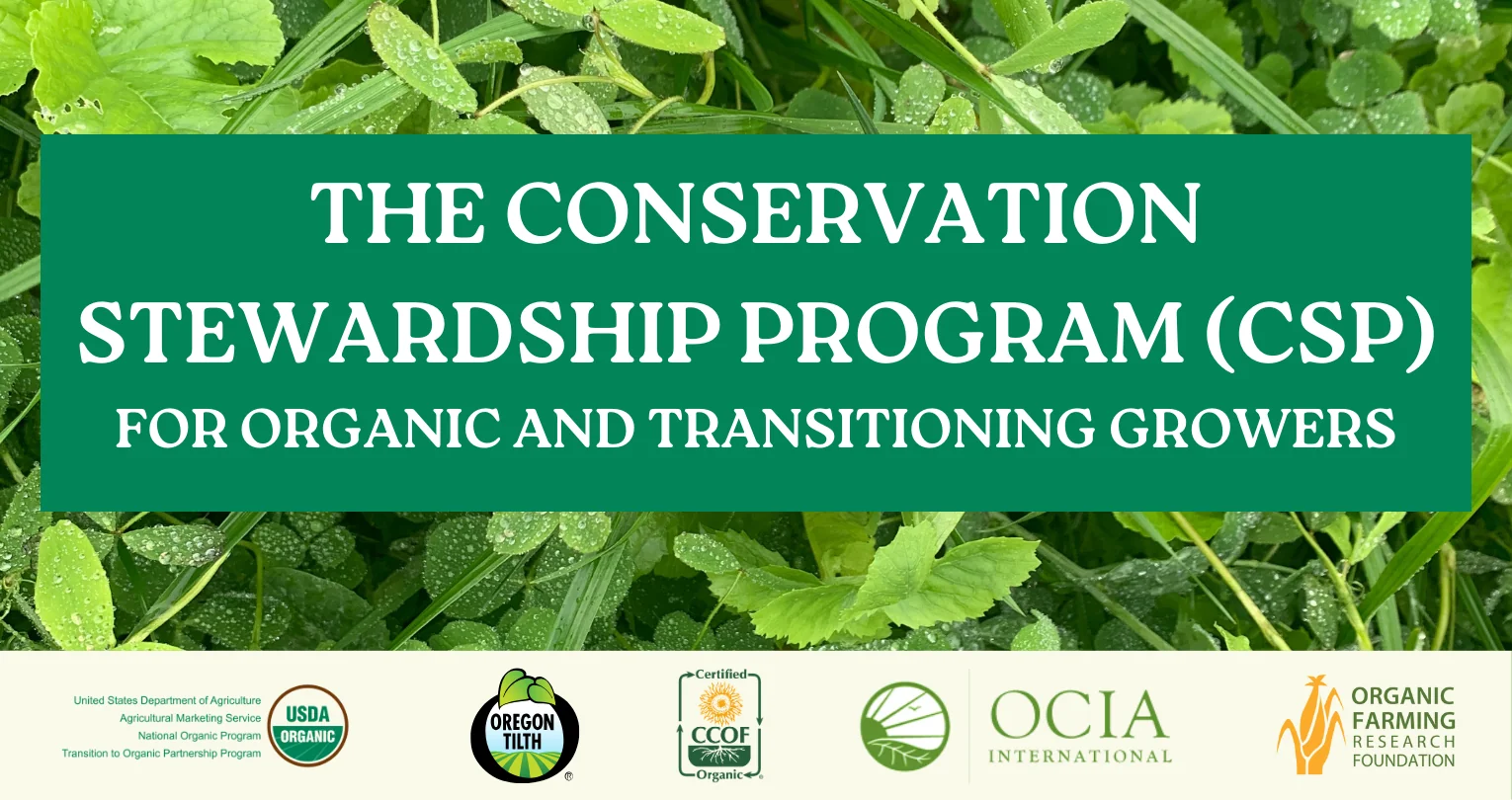 The Conservation Stewardship Program (CSP) with a background image of covercrop