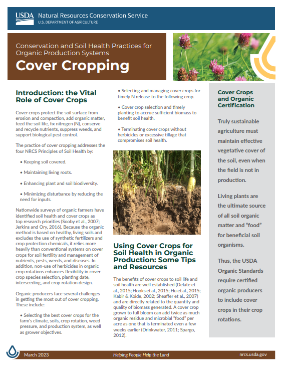 Cover Cropping Image