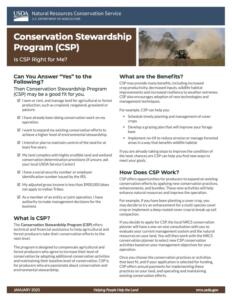Front page of a CSP factsheet in English