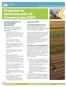 Front page of a CSP factsheet in Spanish