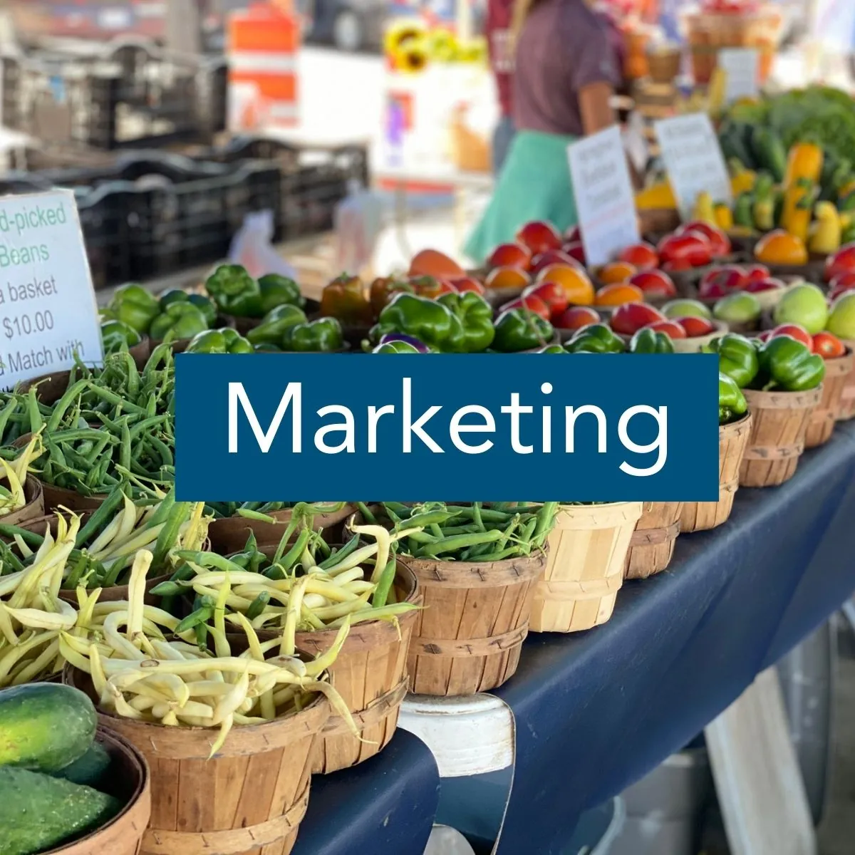 Marketing Image of a farmers market table laden with bushel baskets of fresh vegetables and the label "Marketing"